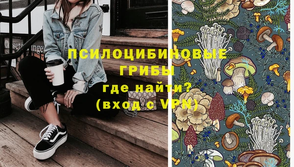 прущий лед Дмитриев