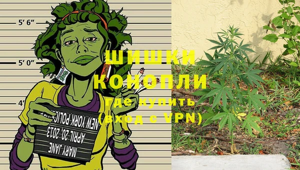 прущий лед Дмитриев