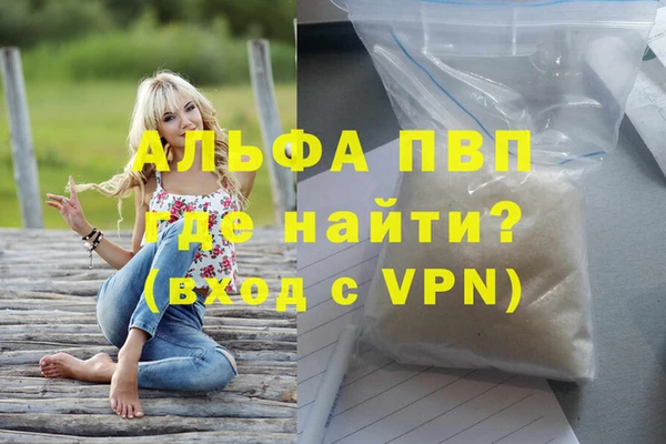 гашик Дмитровск
